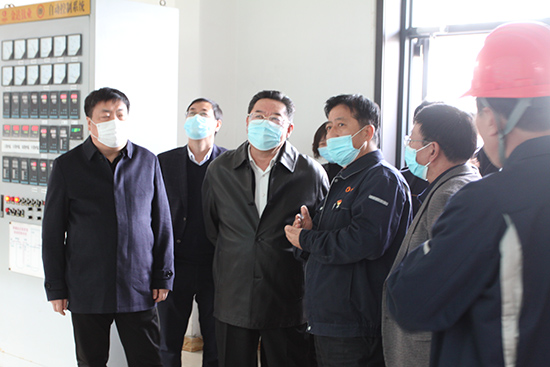 市人大党组副书记、副主任王涌翔一行到集团视察(图1)